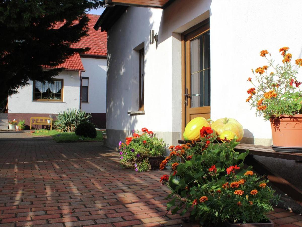 Ferienhaus Christine Schenkendobern Екстериор снимка